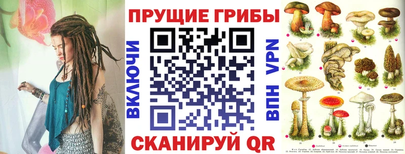 ссылка на мегу tor Пласт Псилоцибиновые грибы мицелий как найти закладки